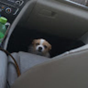 Meet your Posher, Ambrielle